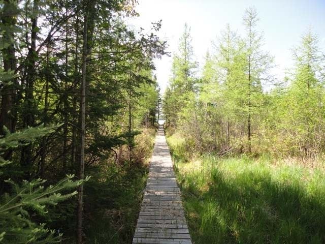 9295 Bald Eagle Road Presque Isle, WI 54557 - Photo 16 of 20 Gallery Image 16