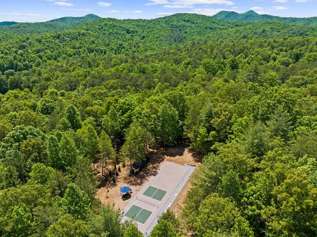 208 Brannon Ridge Young Harris, GA 30582 - Photo 14 of 21 an aerial view of a house with a yard