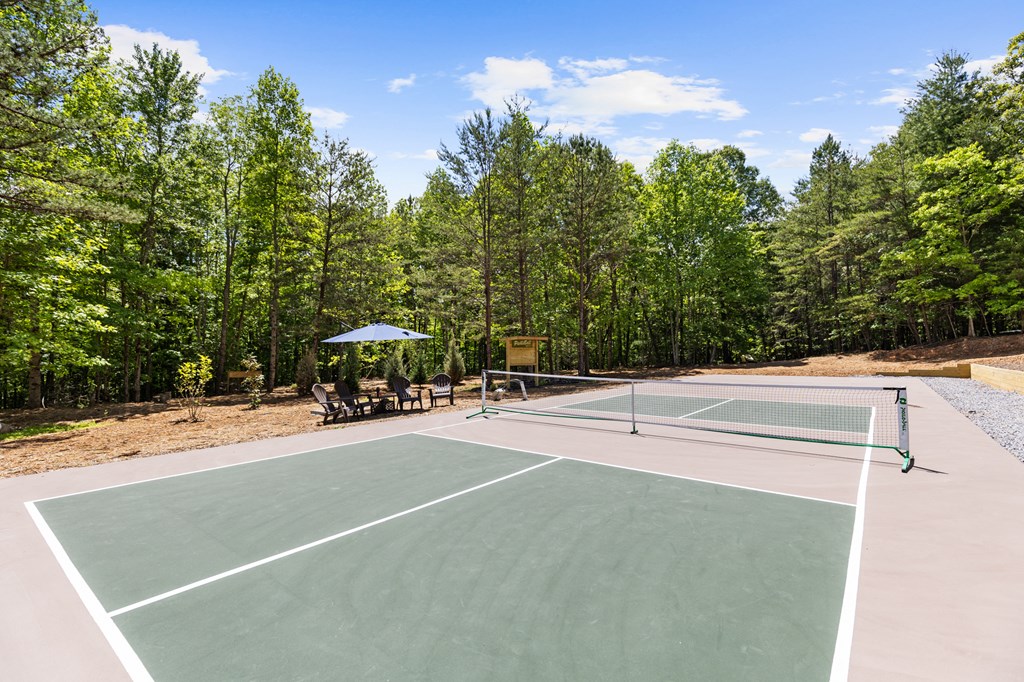 208 Brannon Ridge Young Harris, GA 30582 - Photo 16 of 21 a view of a tennis court with trees in the background