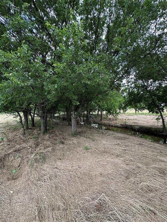 Tbd Krahl Road Valley View, TX 76272 - Photo 14 of 23 Creek