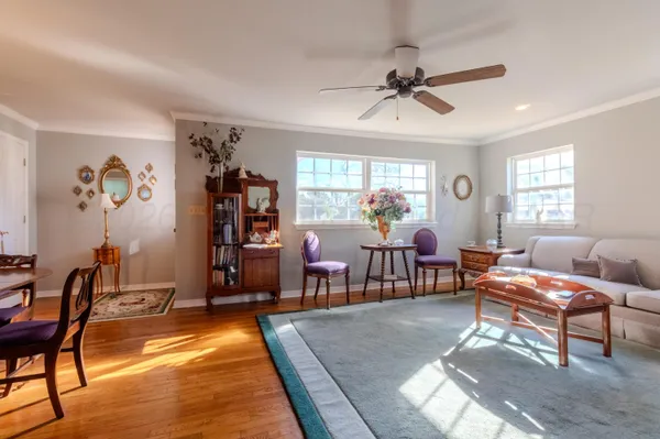 a living room with furniture a rug and a window