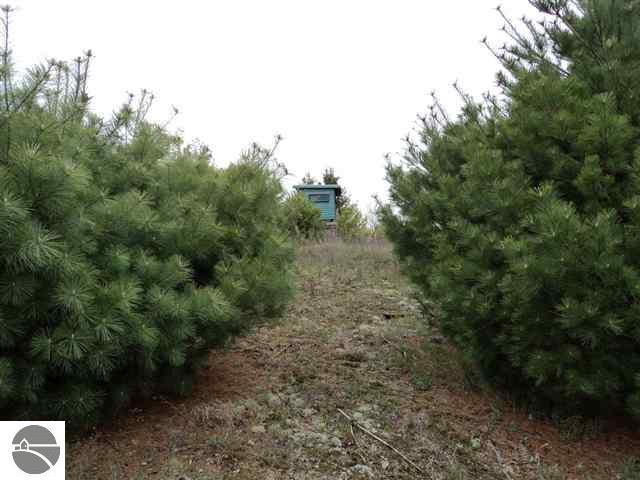 8560 West 10 Road Mesick, MI 49668 - Photo 19 of 25 1740849-18.JPG
