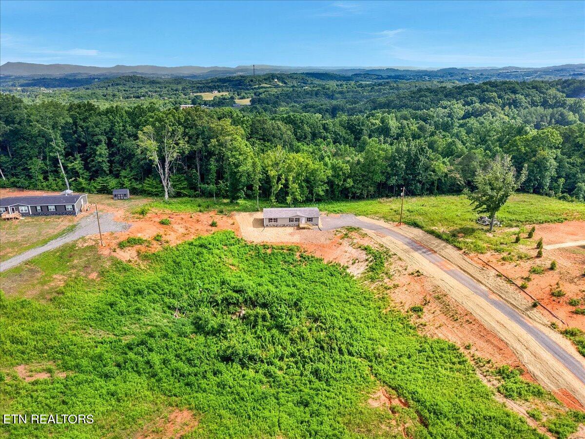 189 Laura Boling Loop Road Strawberry Plains, TN 37871 - Photo 29 of 32 31-189 Laura Boling Loop Rd 29
