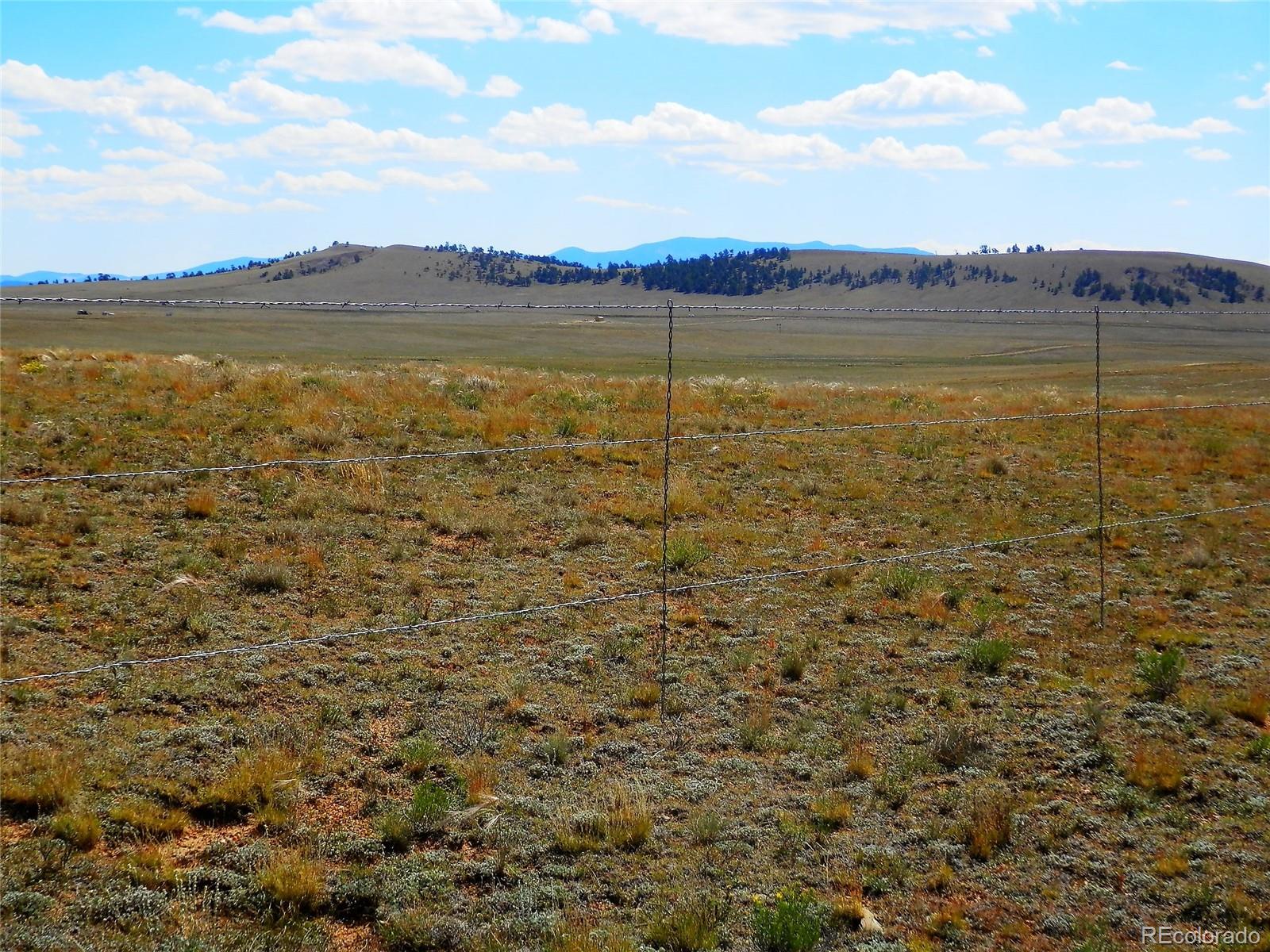 232 Rio Blanco Road Hartsel, CO 80449 - Photo 16 of 23