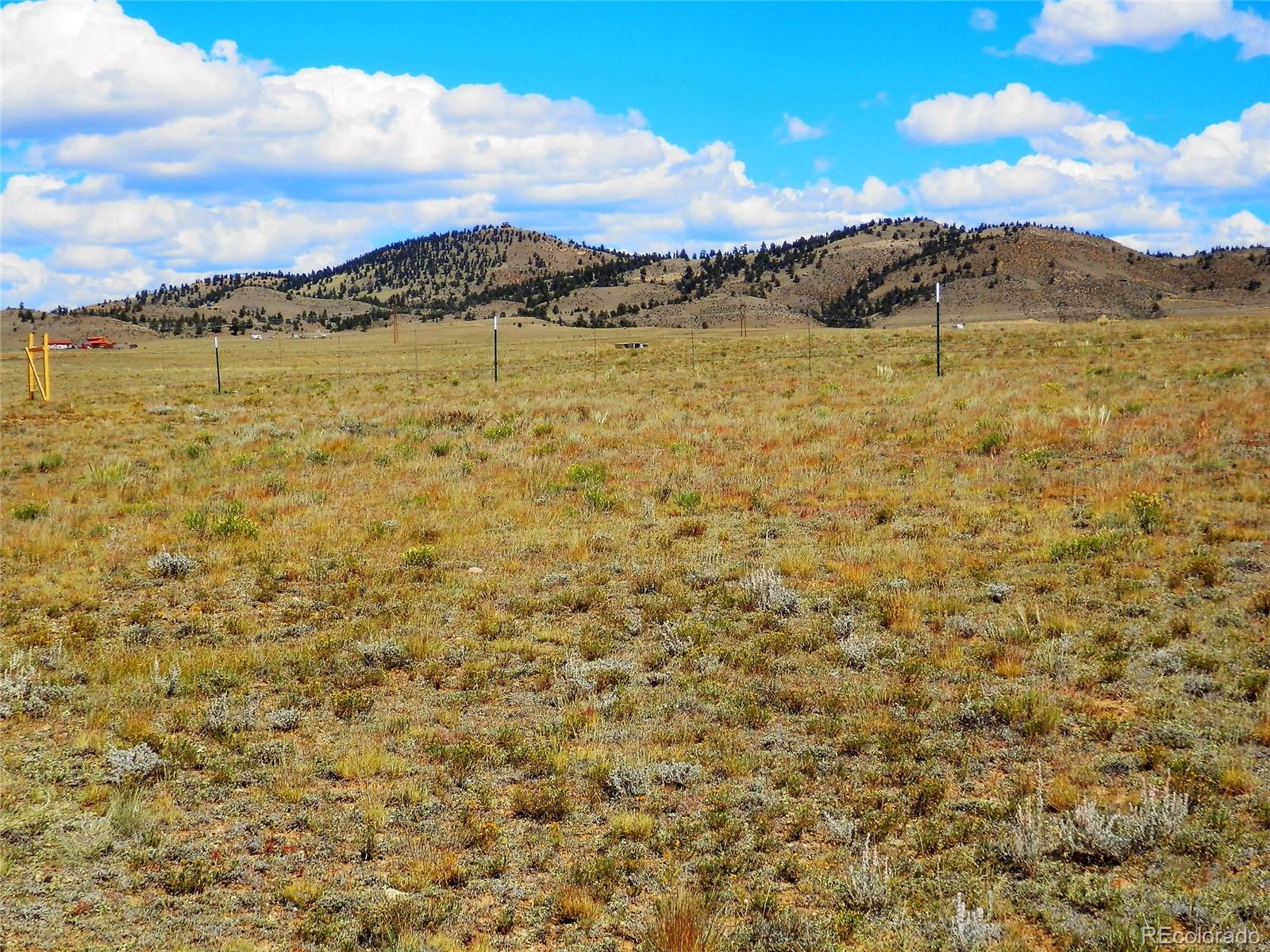 232 Rio Blanco Road Hartsel, CO 80449 - Photo 19 of 23