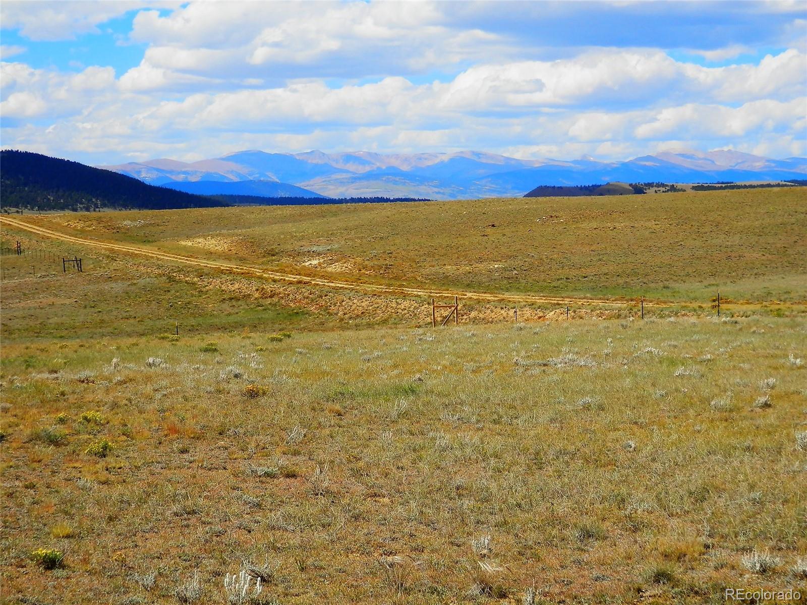 232 Rio Blanco Road Hartsel, CO 80449 - Photo 20 of 23