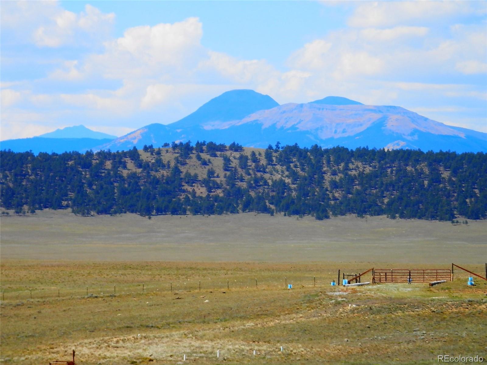 232 Rio Blanco Road Hartsel, CO 80449 - Photo 2 of 23