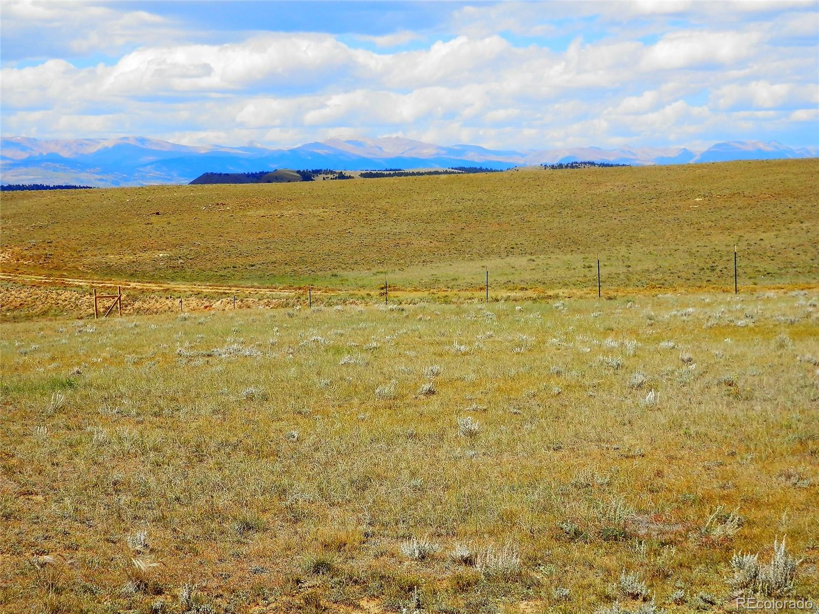 232 Rio Blanco Road Hartsel, CO 80449 - Photo 21 of 23