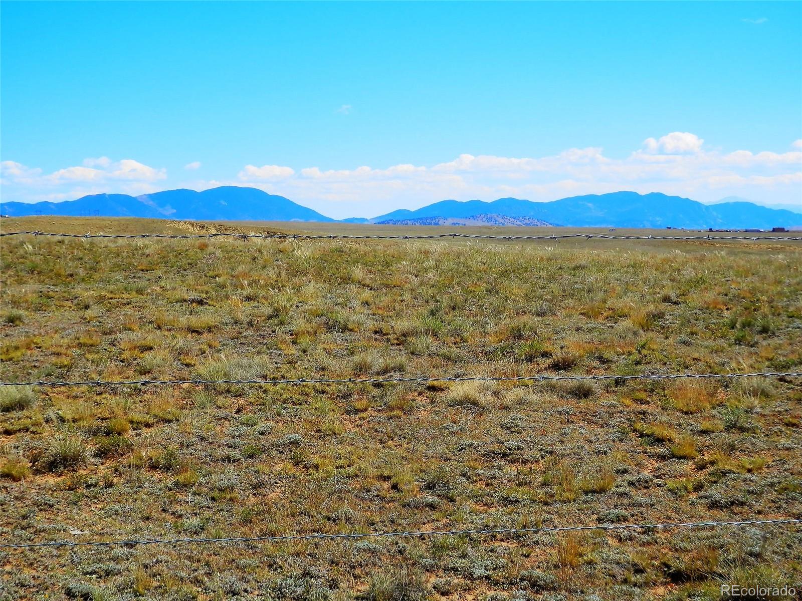 232 Rio Blanco Road Hartsel, CO 80449 - Photo 3 of 23