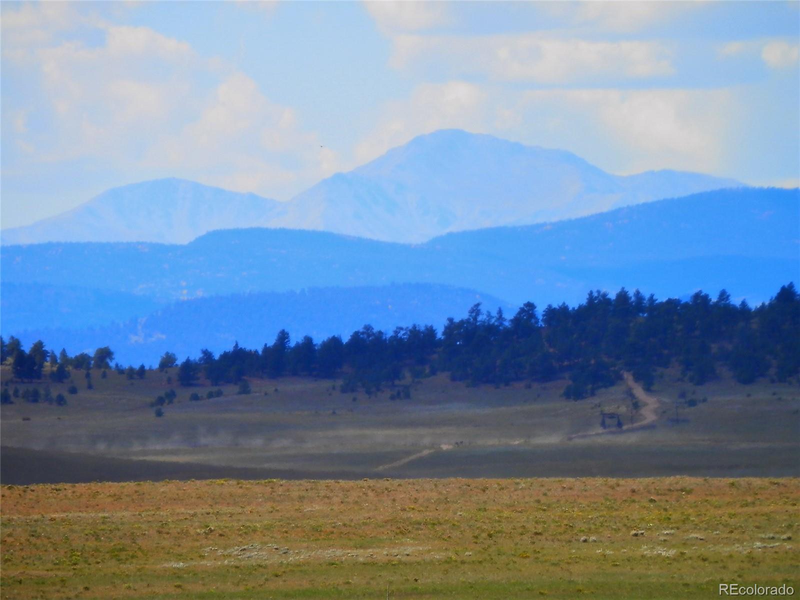232 Rio Blanco Road Hartsel, CO 80449 - Photo 4 of 23