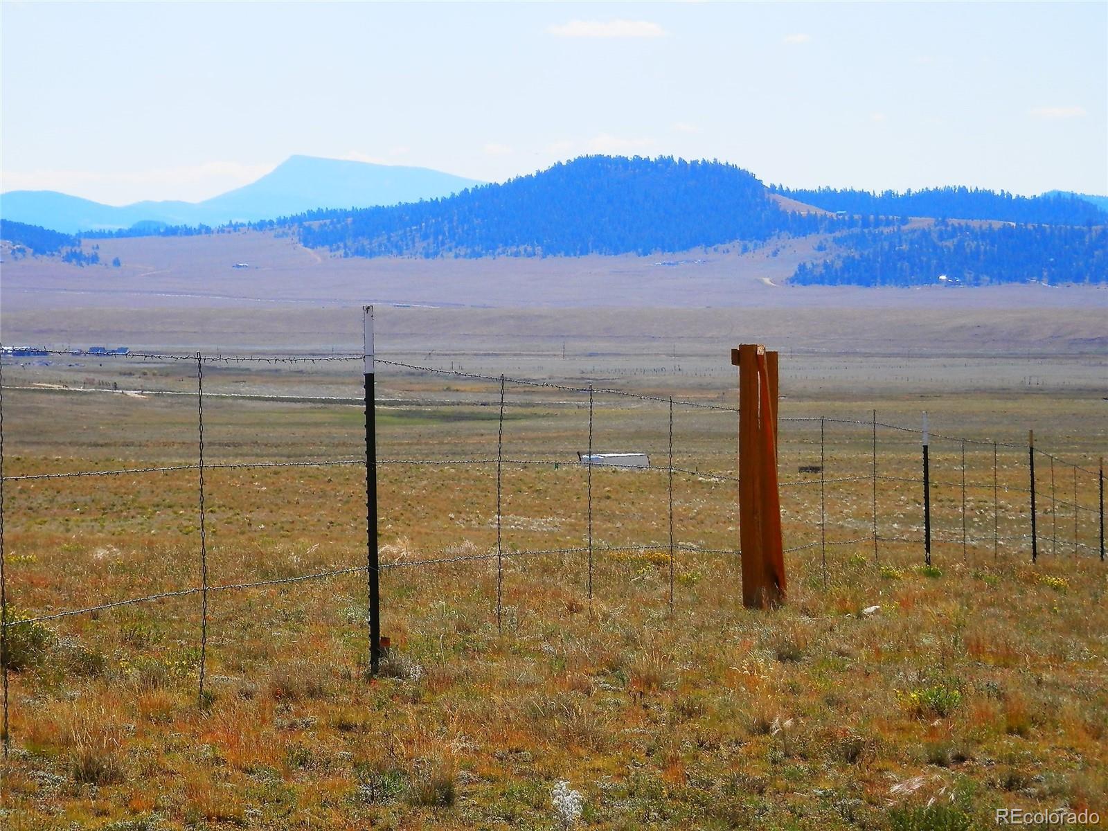 232 Rio Blanco Road Hartsel, CO 80449 - Photo 6 of 23