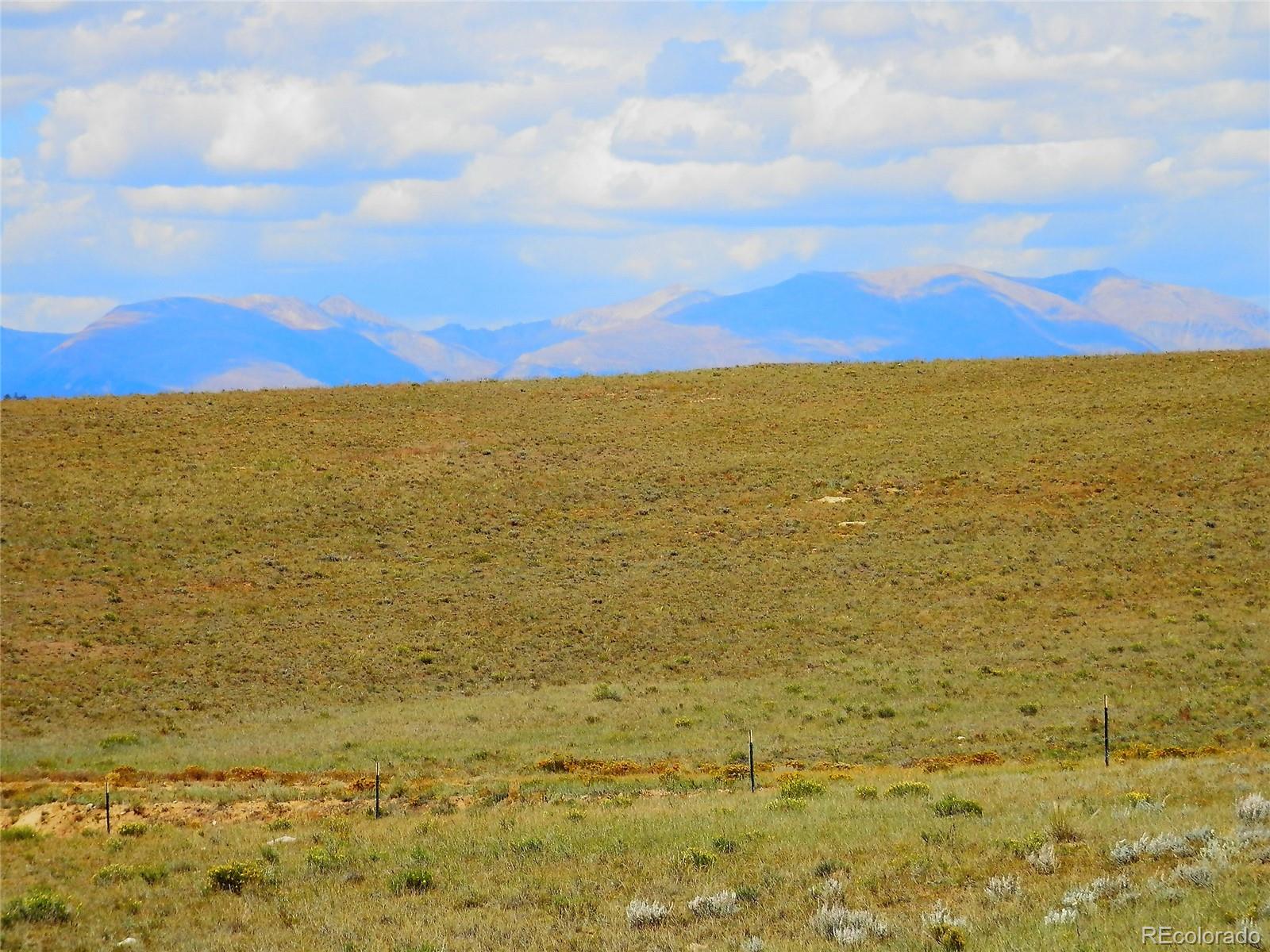 232 Rio Blanco Road Hartsel, CO 80449 - Photo 8 of 23