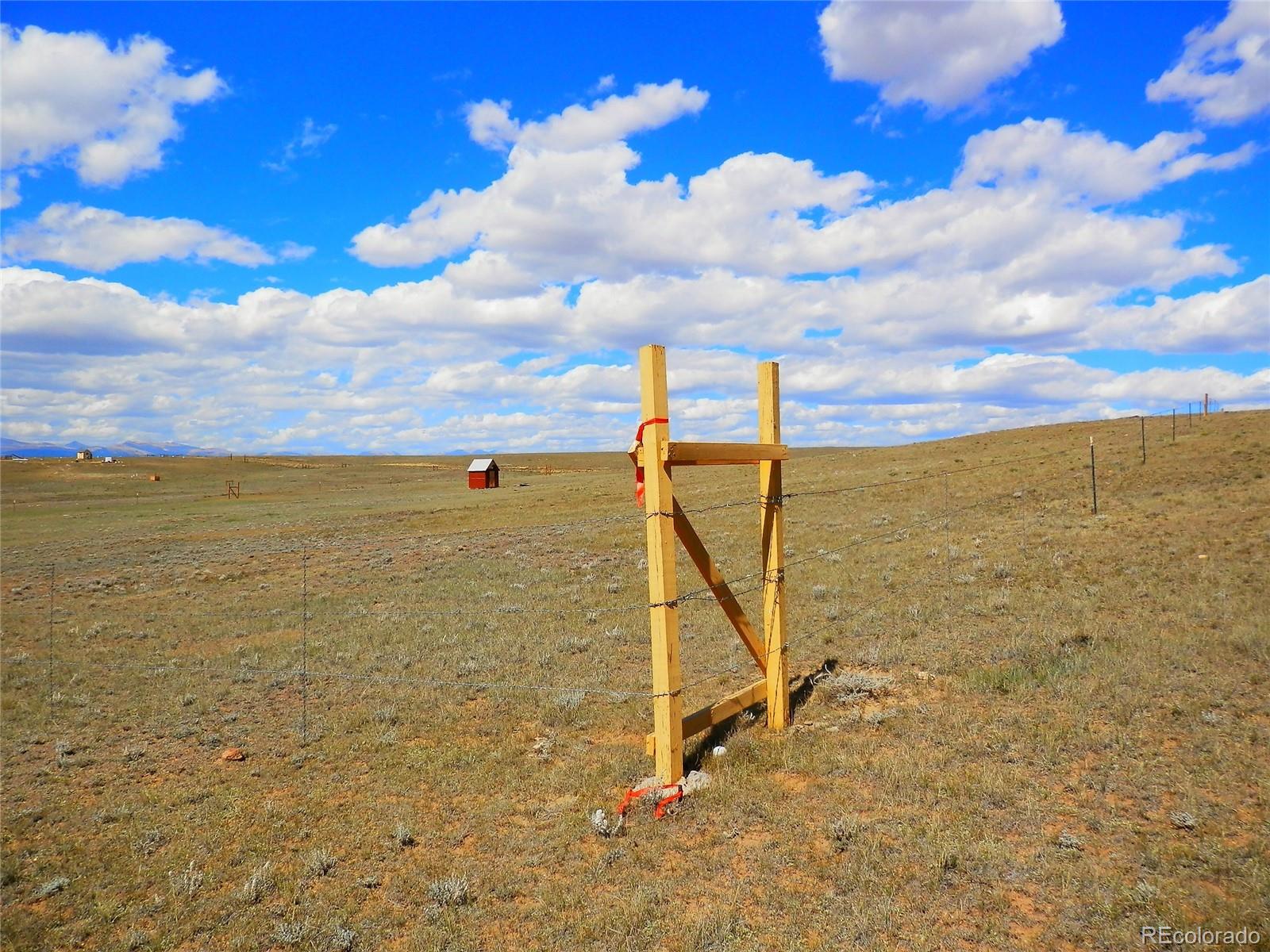 232 Rio Blanco Road Hartsel, CO 80449 - Photo 10 of 23
