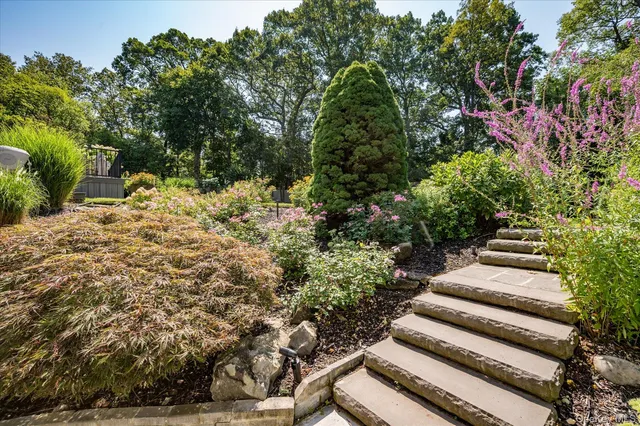 a view of a yard with plants and trees