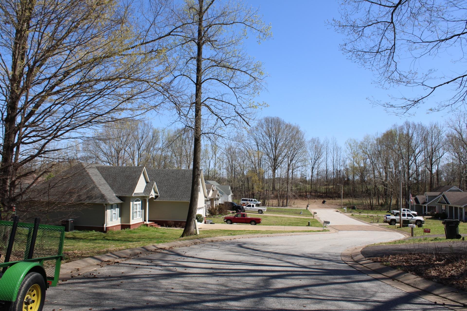 Lot 29 Walnut Ridge Ripley, TN 38063 - Photo 1 of 6 a view of a yard in front of a house