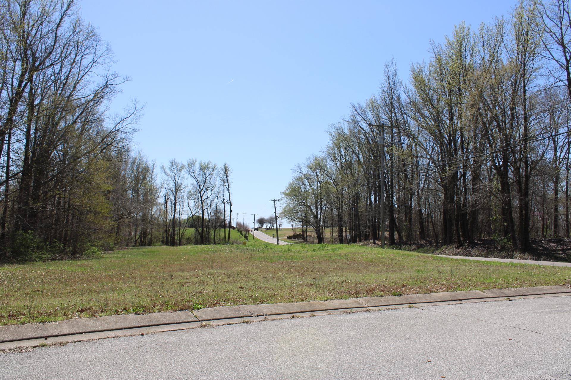 Lot 29 Walnut Ridge Ripley, TN 38063 - Photo 2 of 6 a view of a park