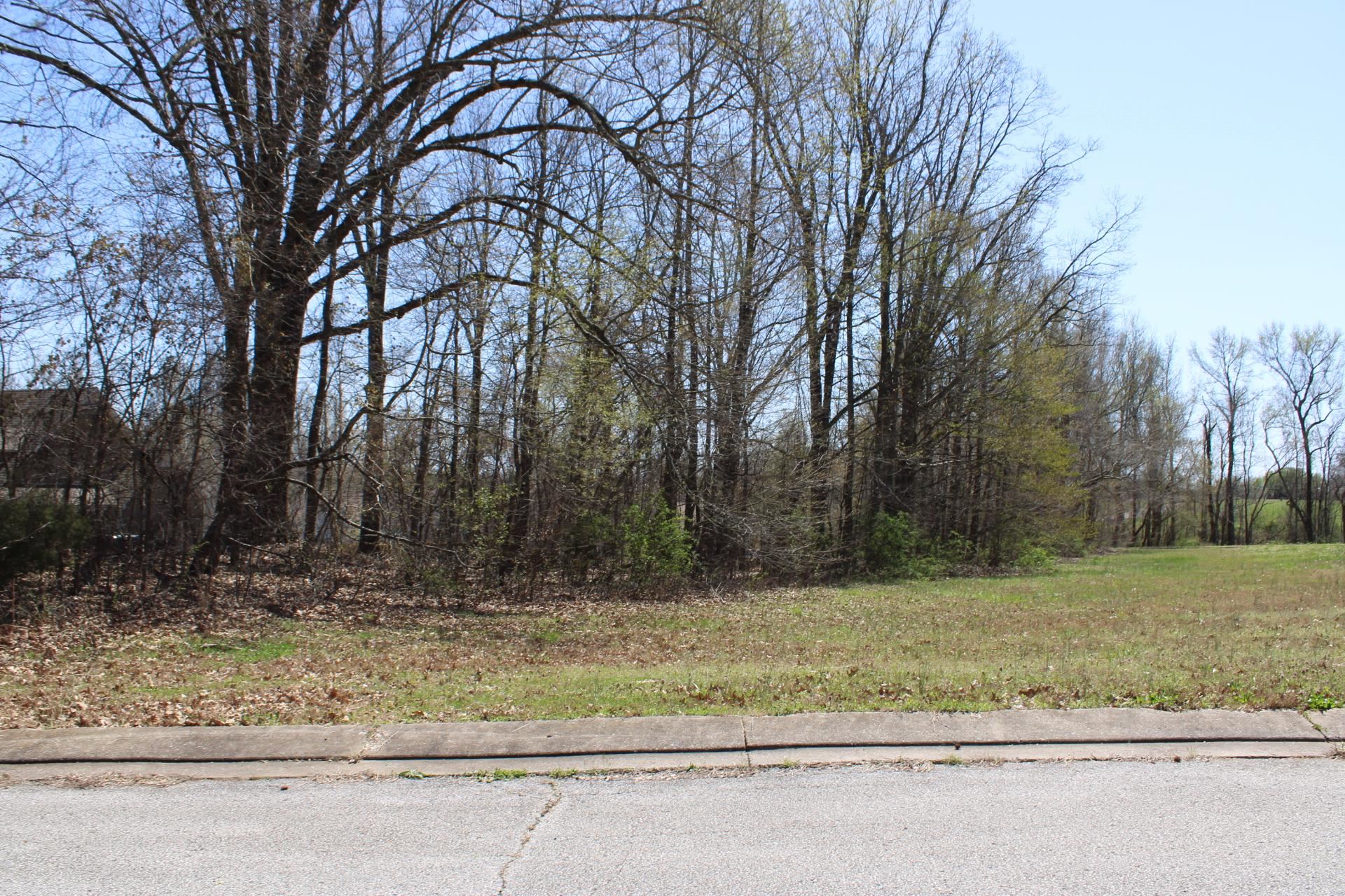 Lot 29 Walnut Ridge Ripley, TN 38063 - Photo 3 of 6 a view of a yard with large trees