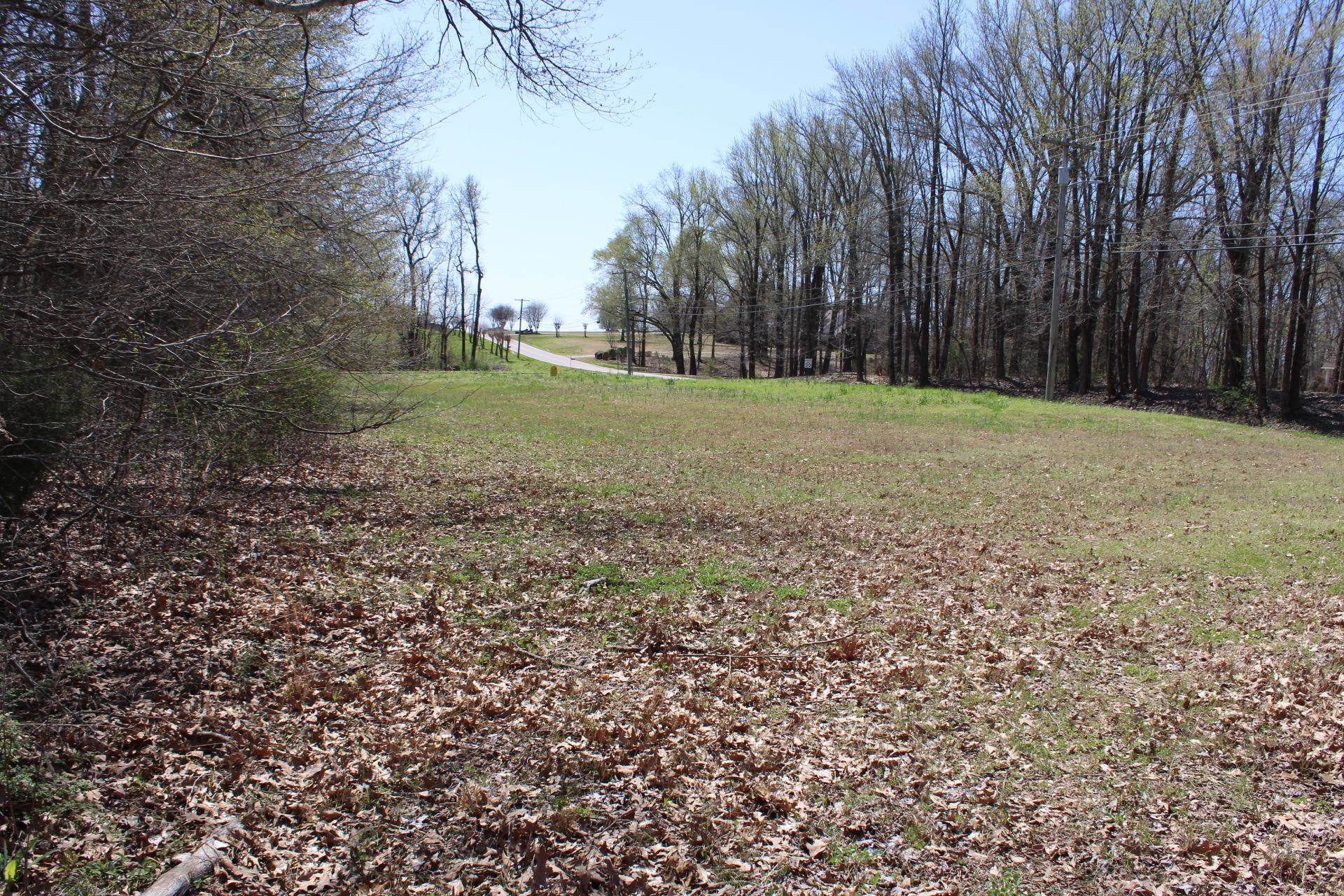 Lot 29 Walnut Ridge Ripley, TN 38063 - Photo 6 of 6 a view of a field with trees