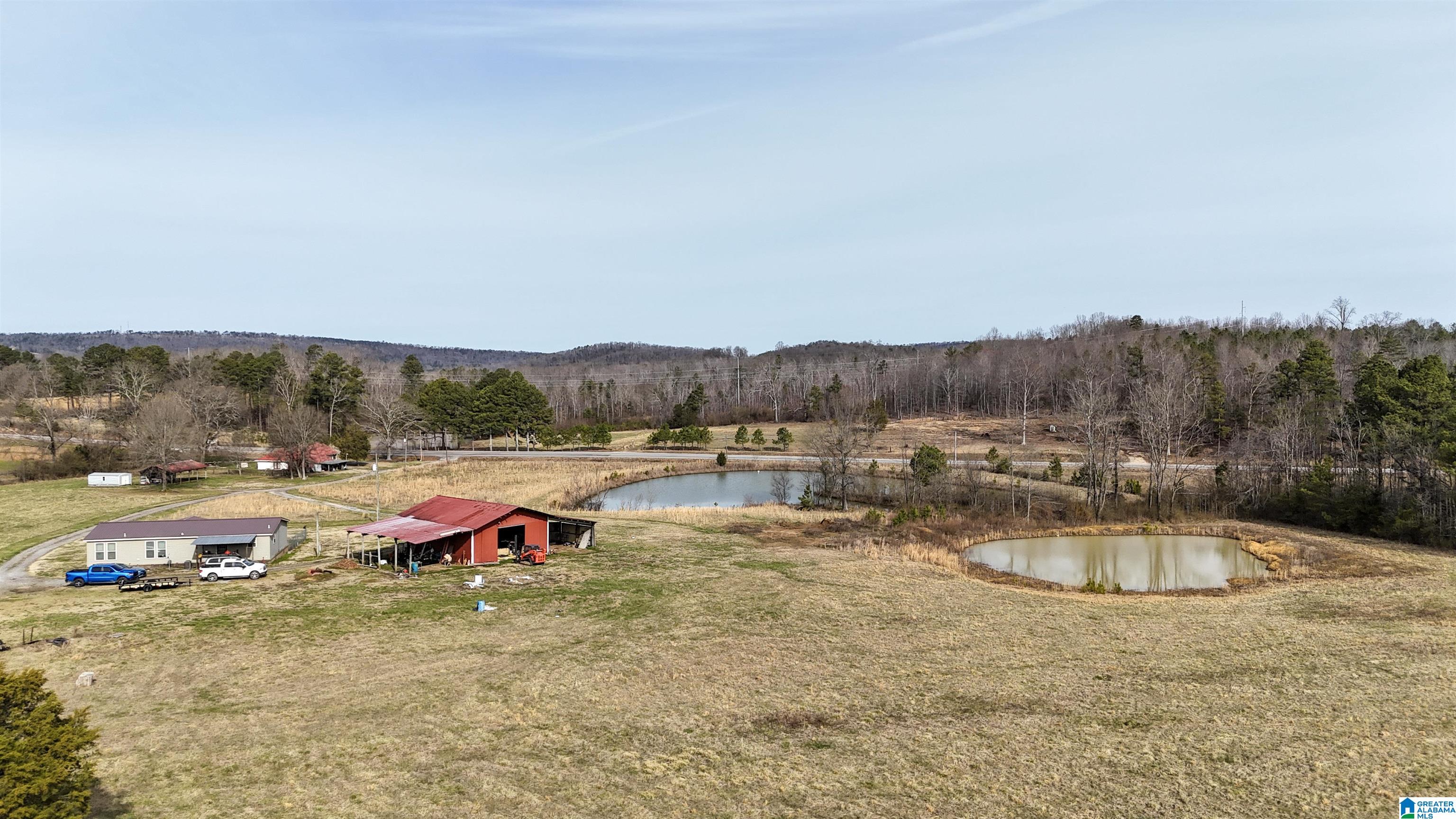 3410 Highway 132 Oneonta, AL 35121 - Photo 2 of 46