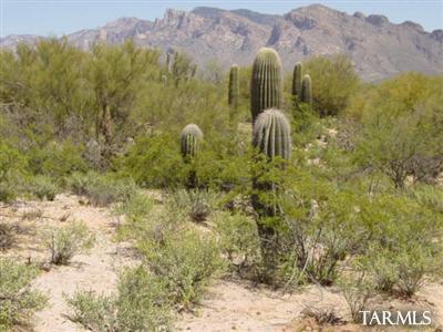 0 West Oasis Road Tucson, AZ 85742 - Photo 5 of 9