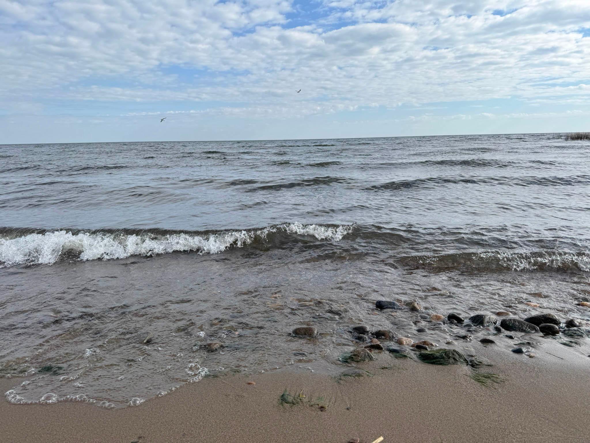 7331 Highway 169 Garrison, MN 56450 - Photo 2 of 45