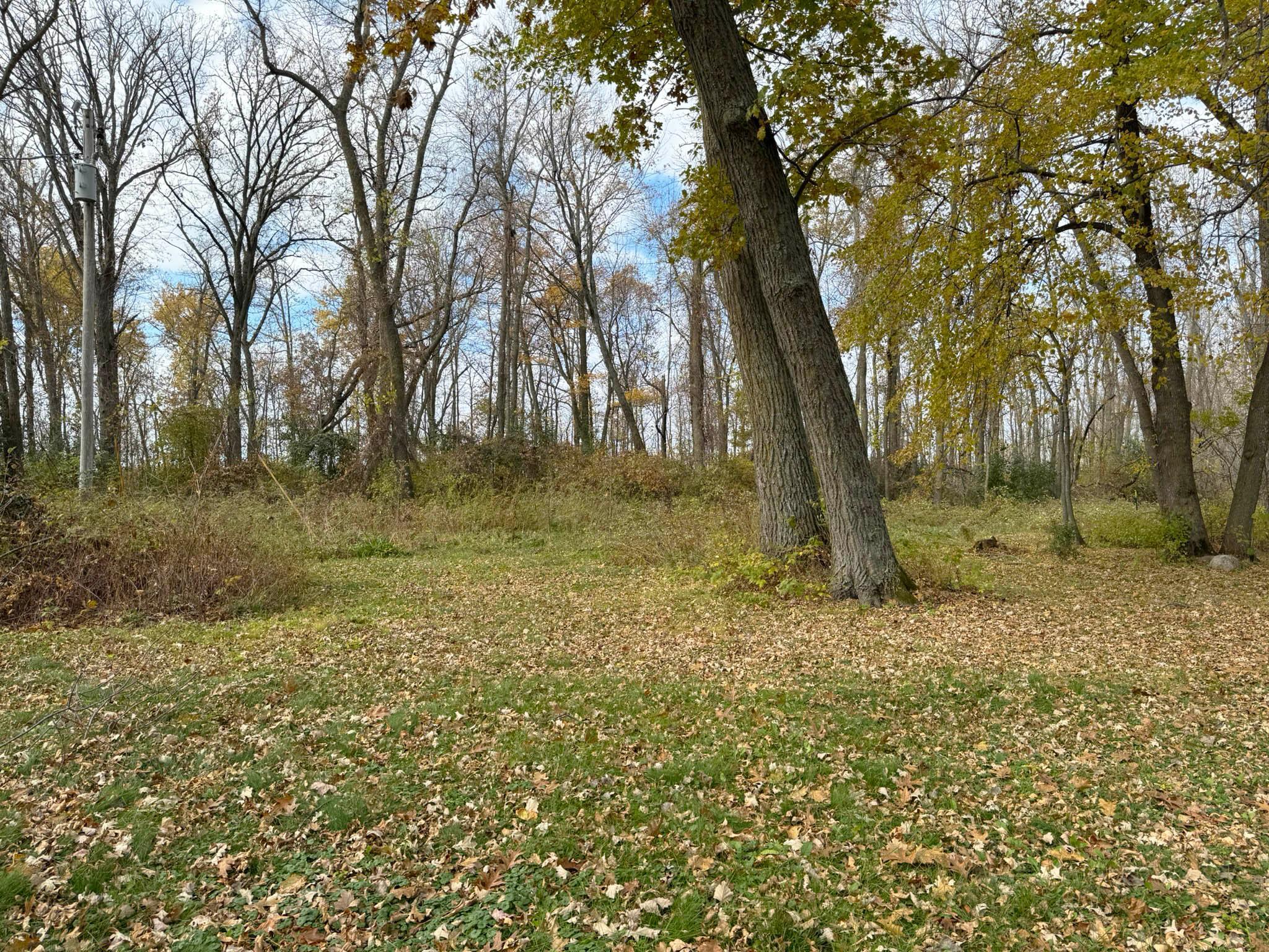 7331 Highway 169 Garrison, MN 56450 - Photo 32 of 45