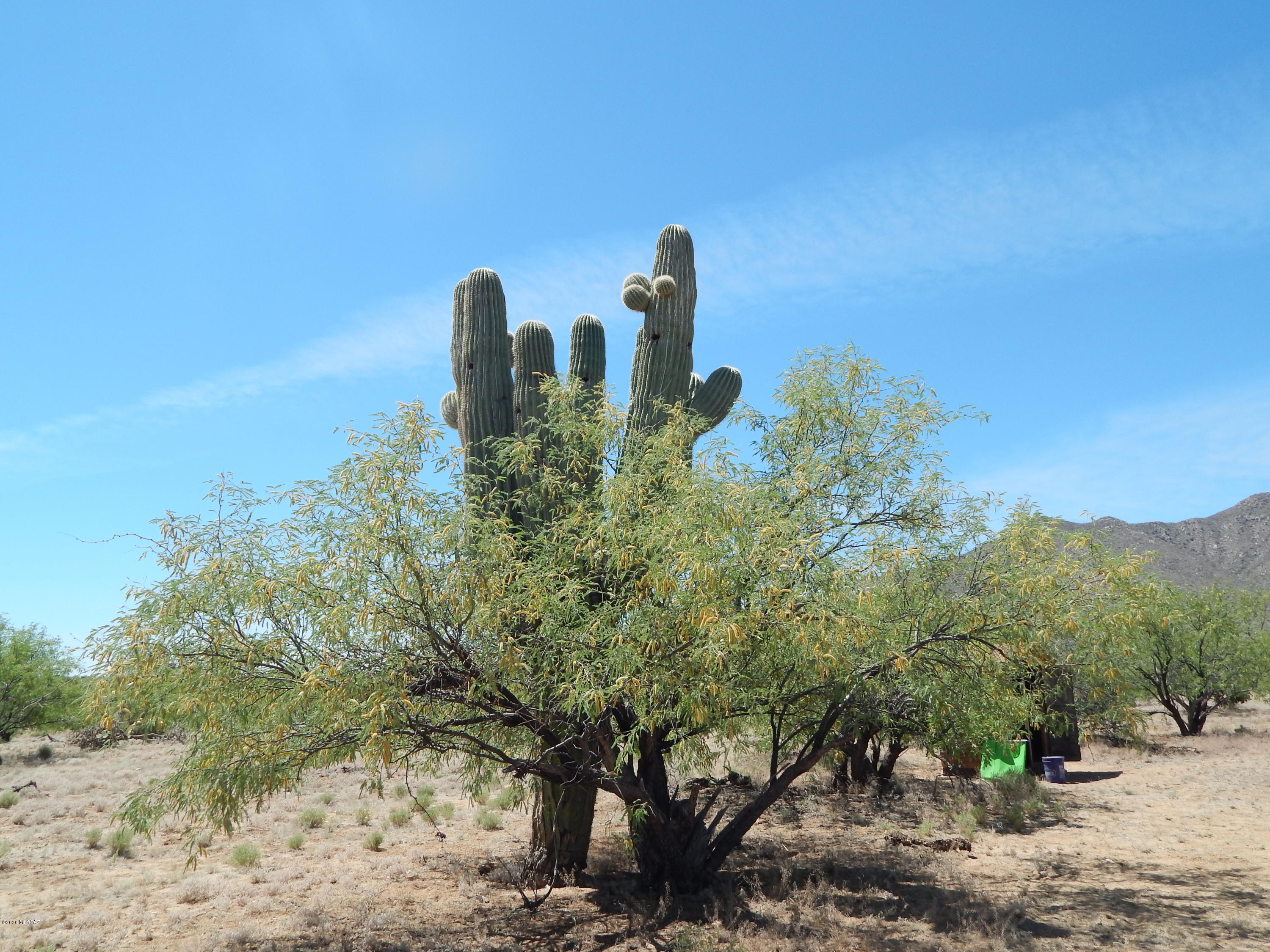 23400 West Ressie Road, Unit 98 Tucson, AZ 85735 - Photo 20 of 36