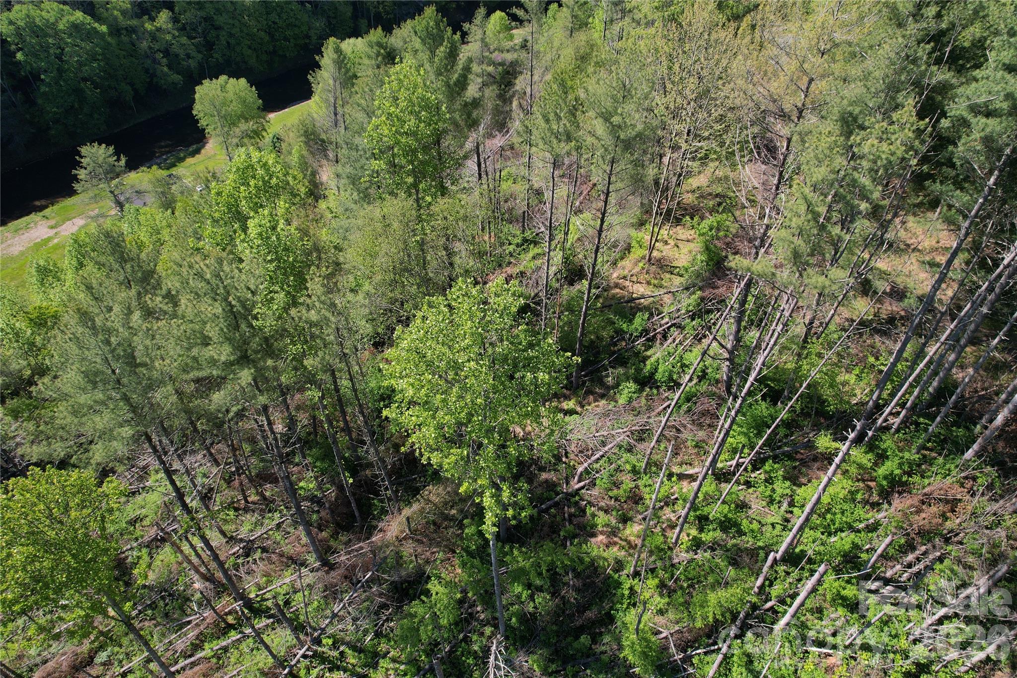 0 River Rock Road Warrensville, NC 28693 - Photo 7 of 15