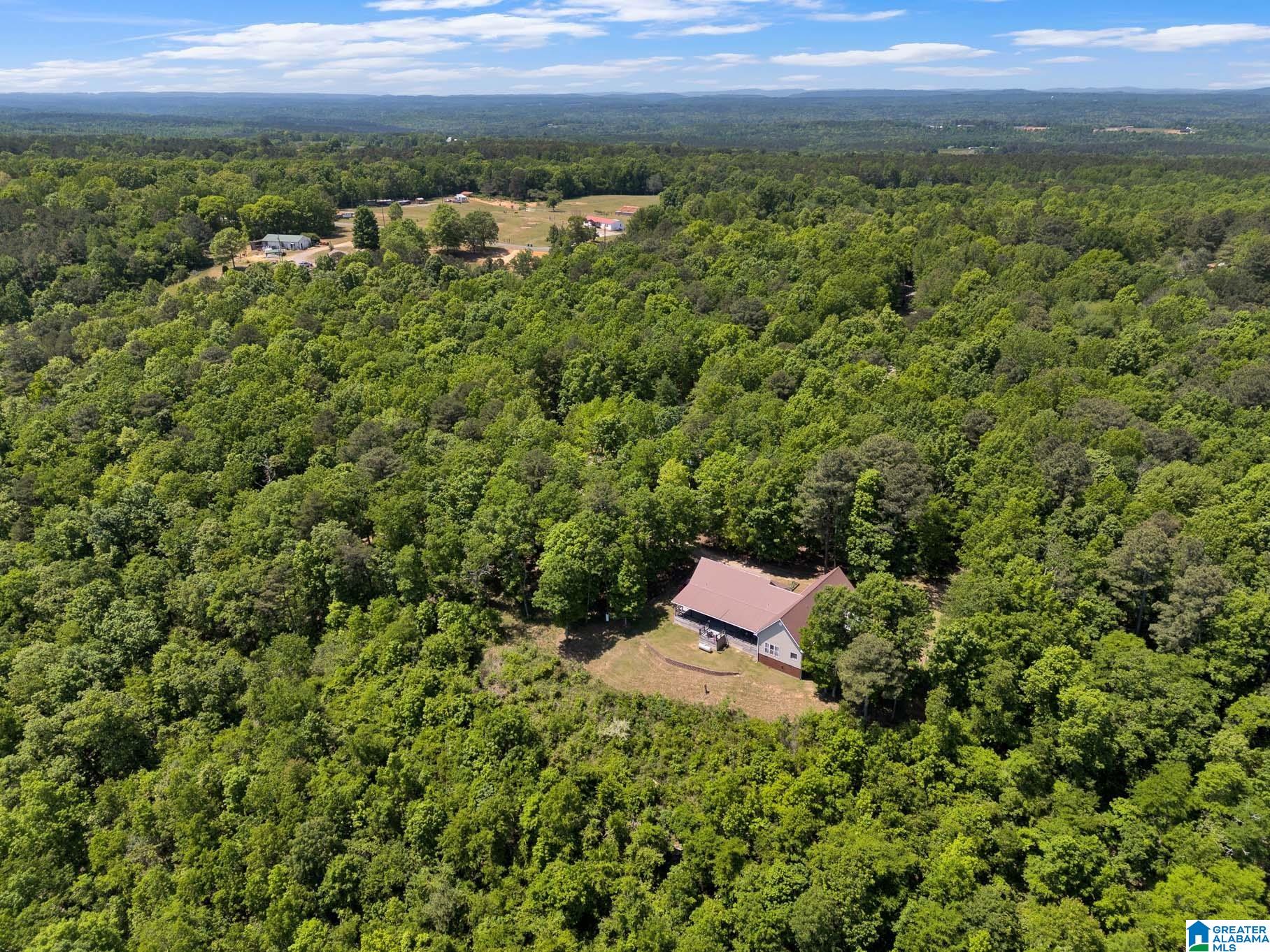 7076 Co Highway 24 Springville, AL 35146 - Photo 52 of 60