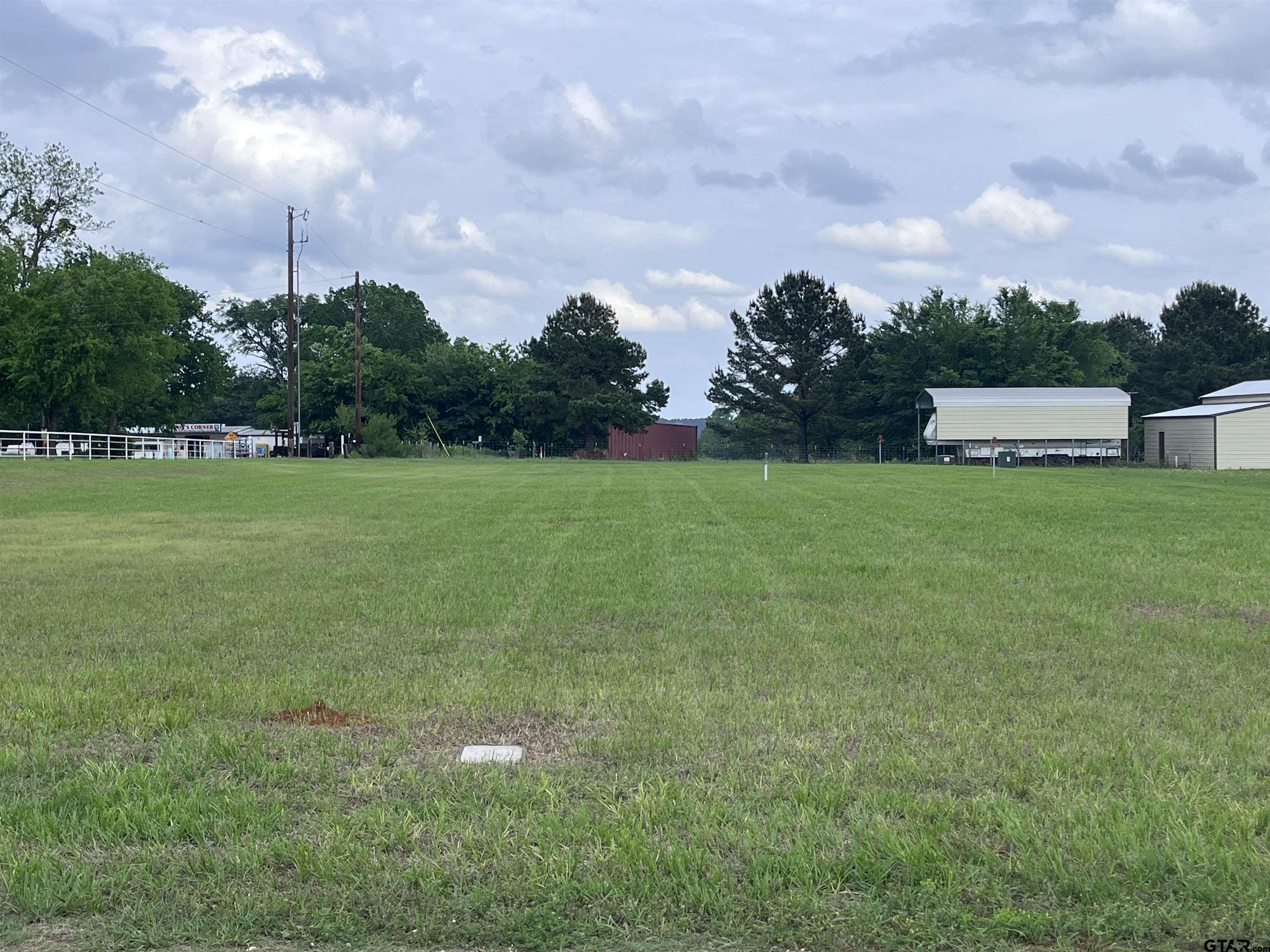 Tbd Loop Drive Frankston, TX 75763 - Photo 6 of 9