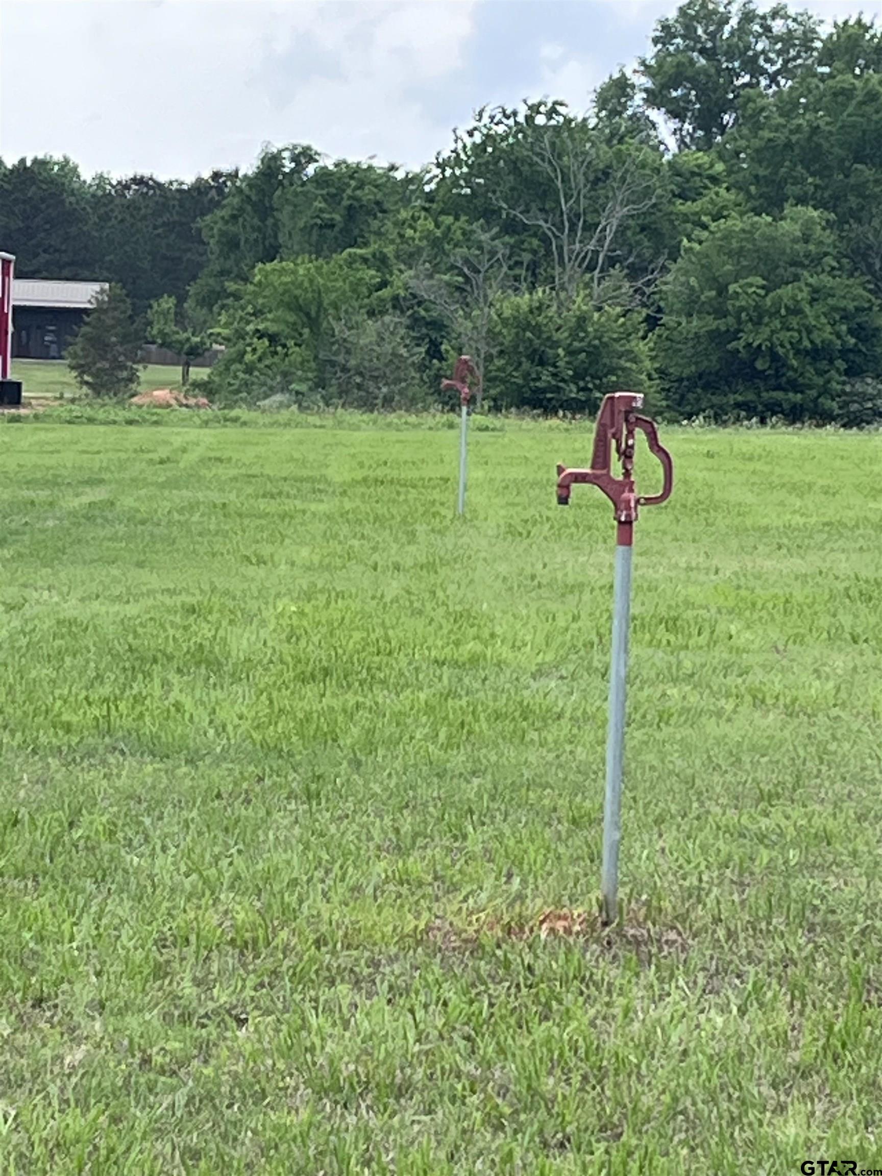 Tbd Loop Drive Frankston, TX 75763 - Photo 9 of 9