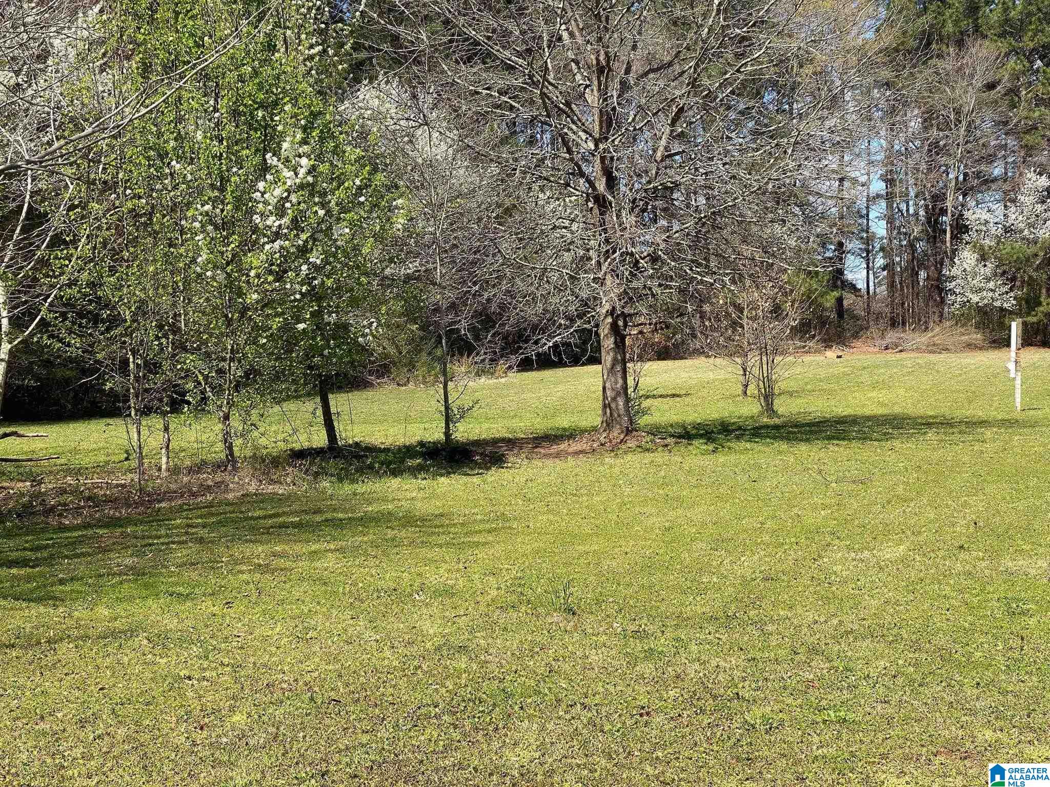 2160 Tanyard Road Harpersville, AL 35078 - Photo 9 of 36
