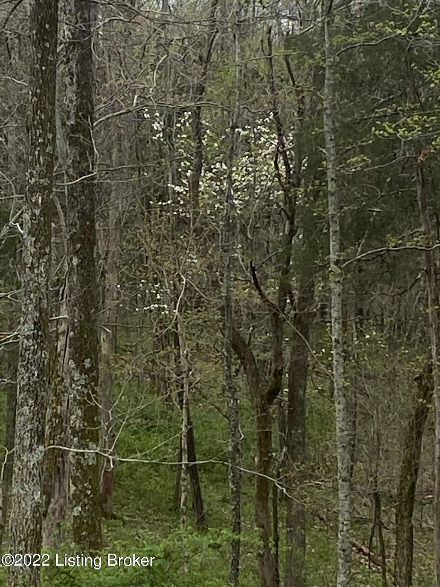 1 Cat Ridge Road Waddy, KY 40076 - Photo 15 of 16 IMG_5488 pic 6