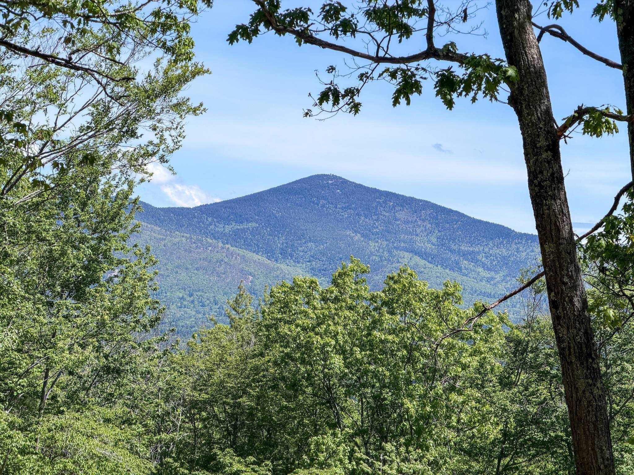 236 Birch Hill Road Conway, NH 03860 - Photo 17 of 53