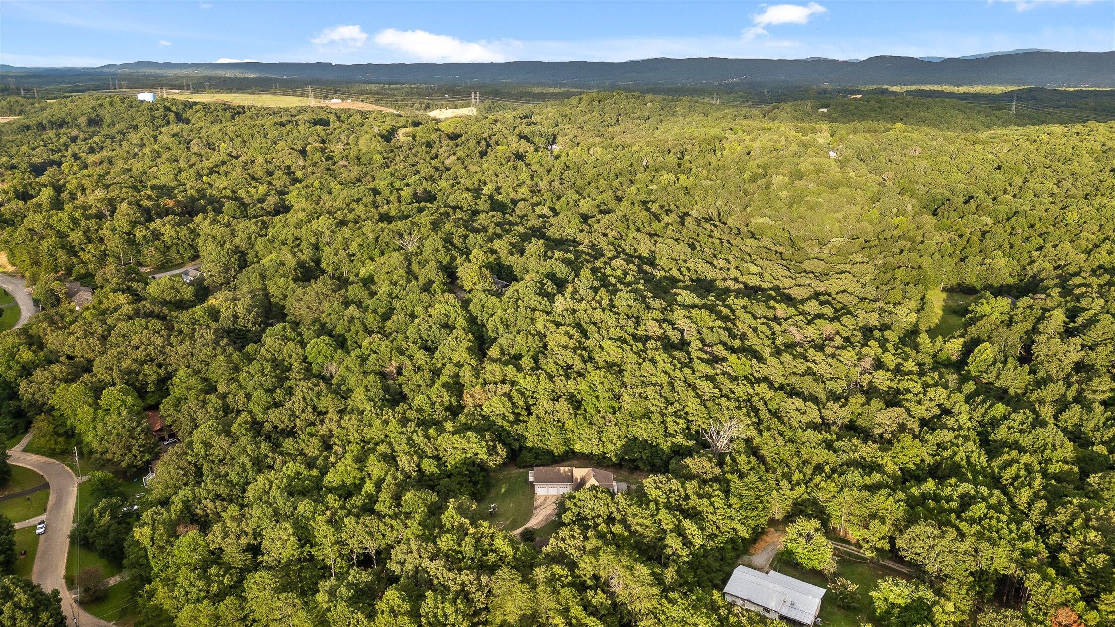 8710 Hidden Branches Road Harrison, TN 37341 - Photo 115 of 123 134-Hidden Branches-133