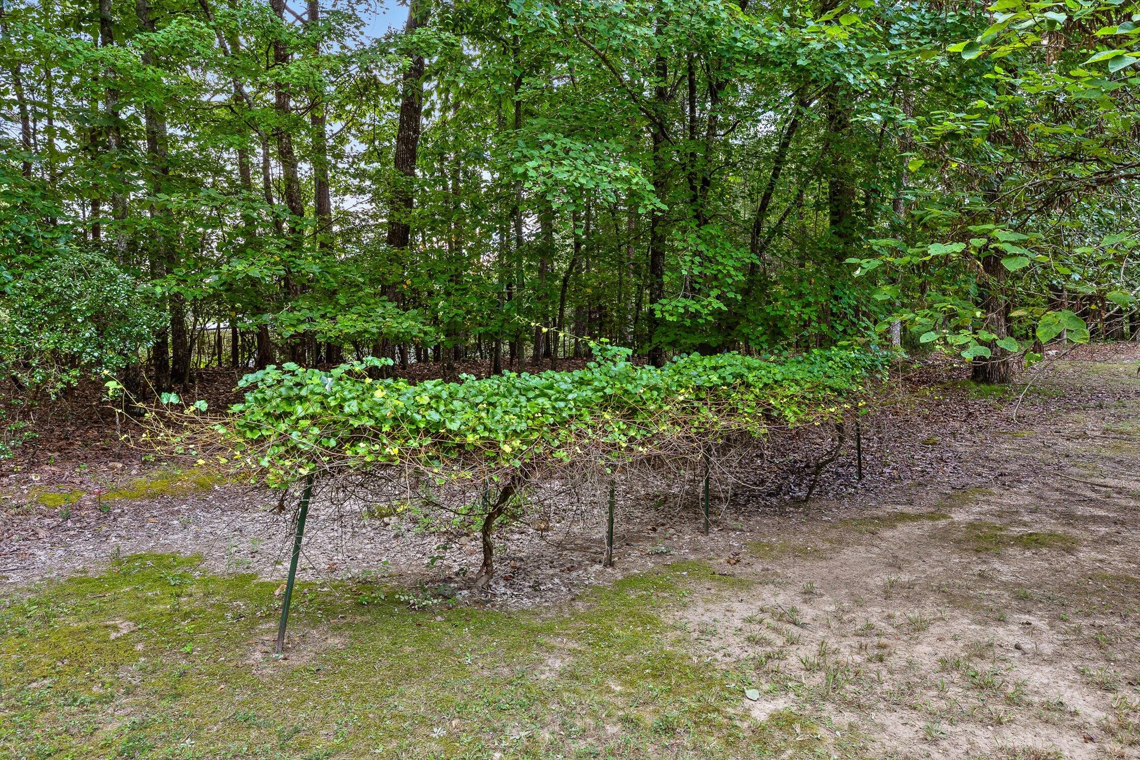 8710 Hidden Branches Road Harrison, TN 37341 - Photo 91 of 123 004-Hidden Branches-3