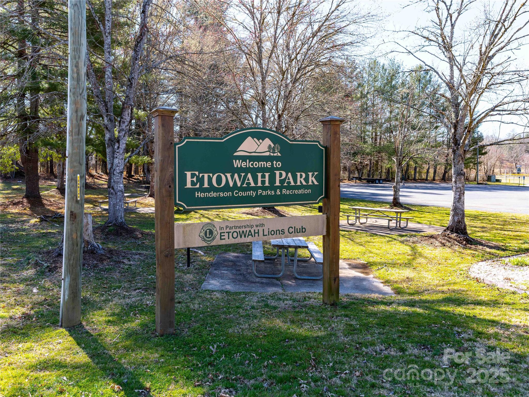 357 Beechnut Drive Hendersonville, NC 28739 - Photo 33 of 39