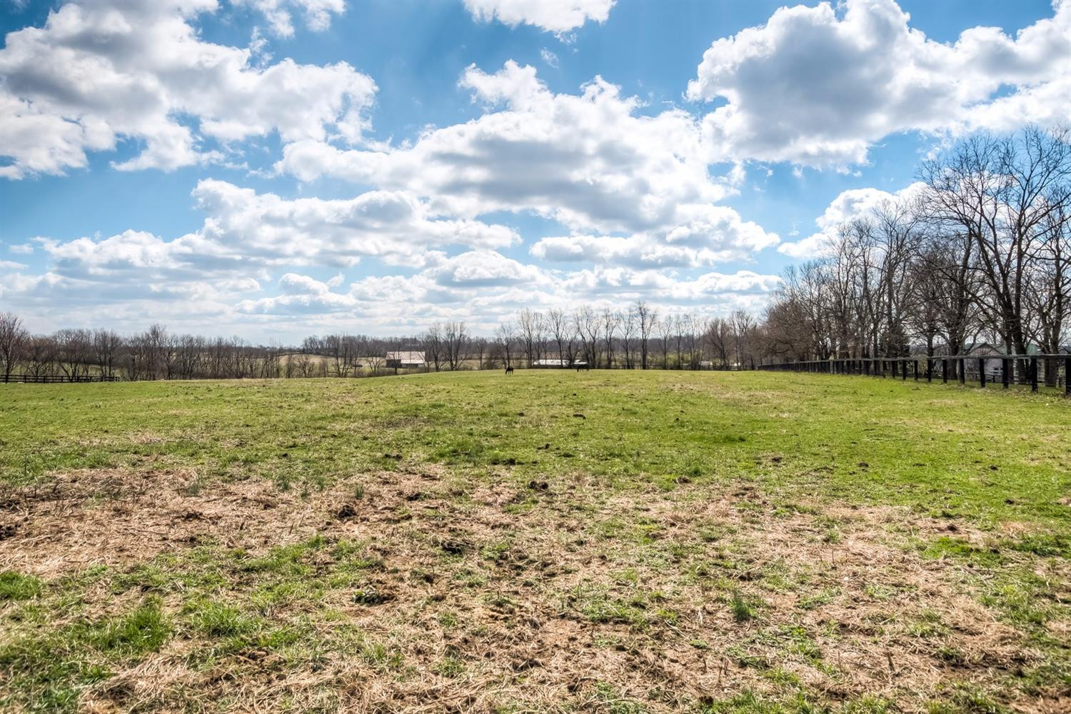 424 Ruddles Mill Road Paris, KY 40361 - Photo 44 of 62 Photo 44
