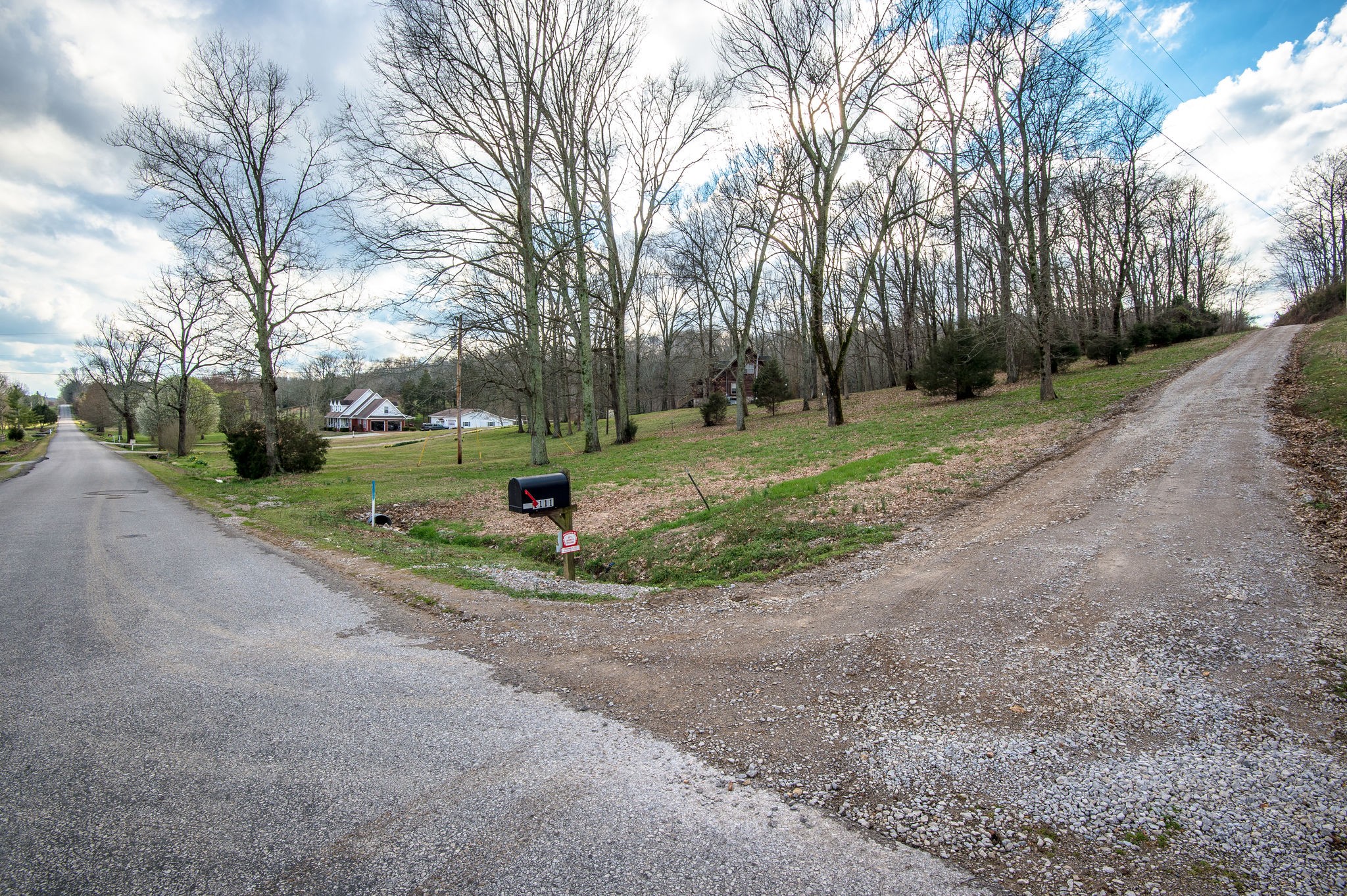 1111 Rip Steele Road Columbia, TN 38401 - Photo 4 of 50 a view of a park with tree s