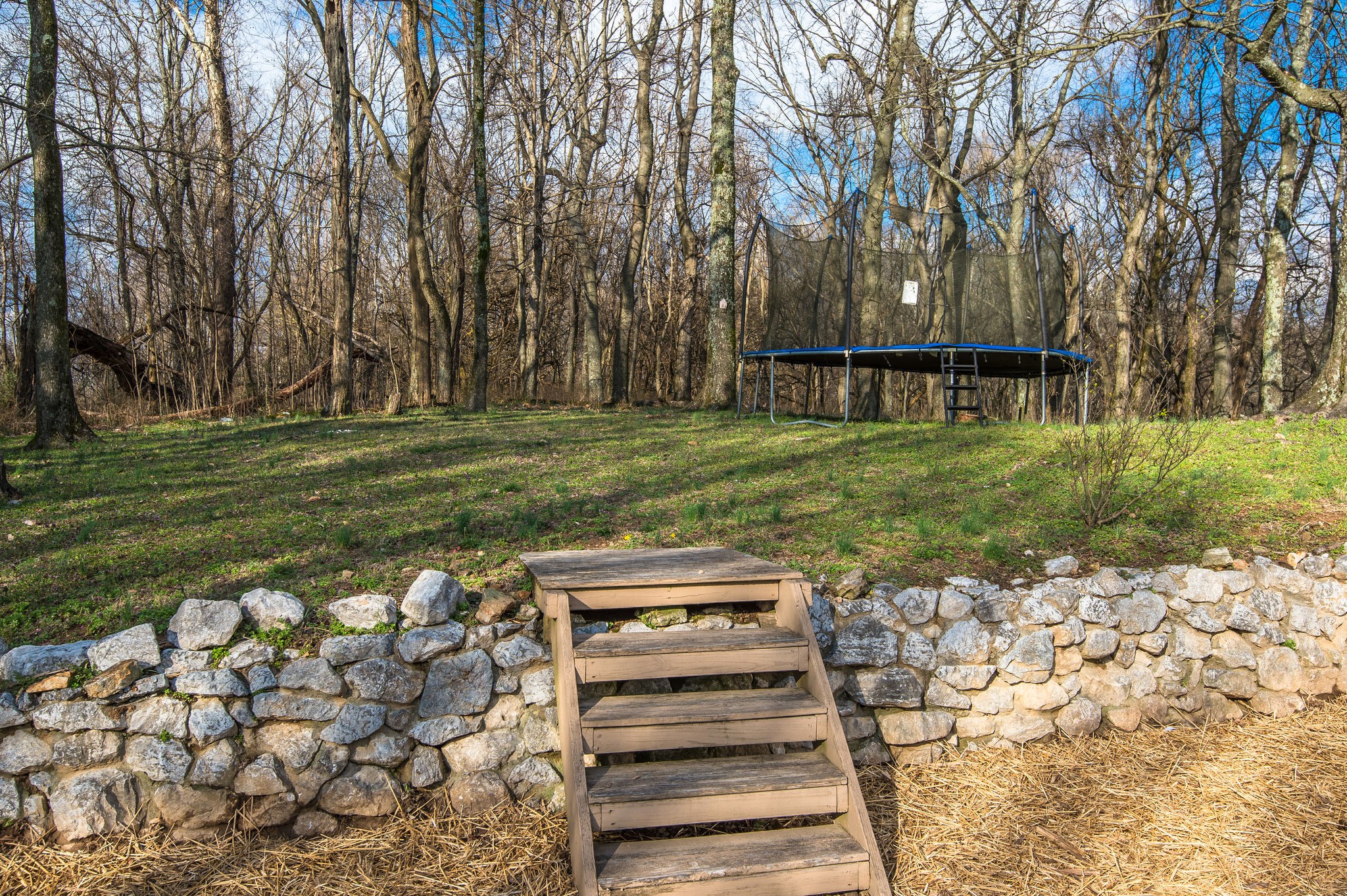 1111 Rip Steele Road Columbia, TN 38401 - Photo 46 of 50 a view of a backyard with wooden fence