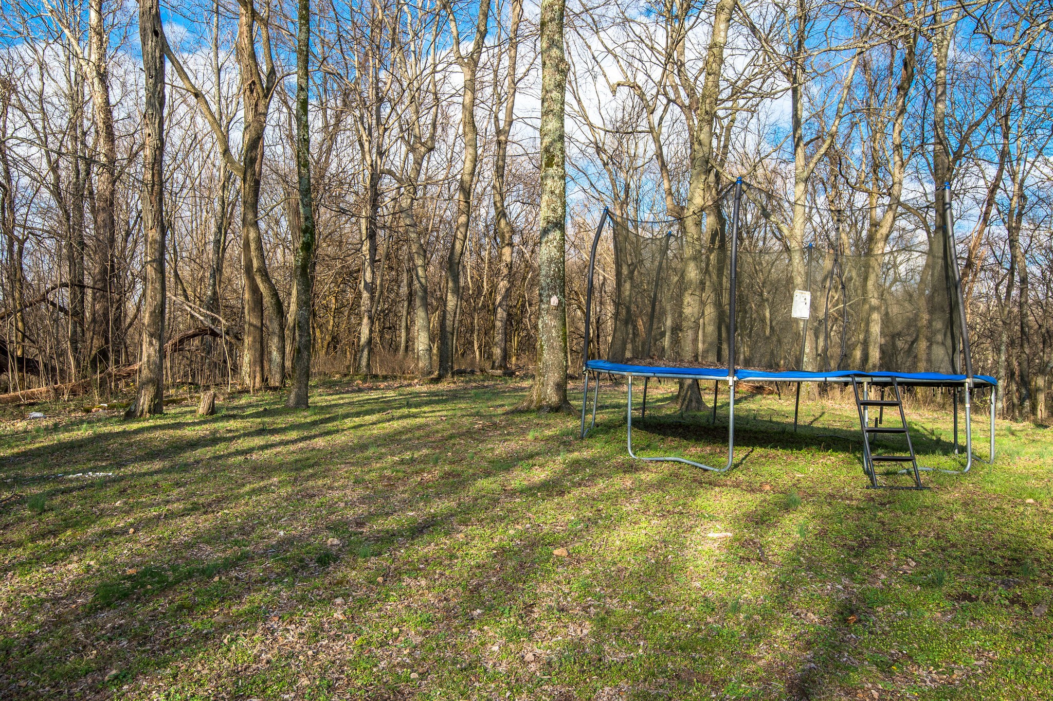 1111 Rip Steele Road Columbia, TN 38401 - Photo 47 of 50 a swimming pool with trees in the background