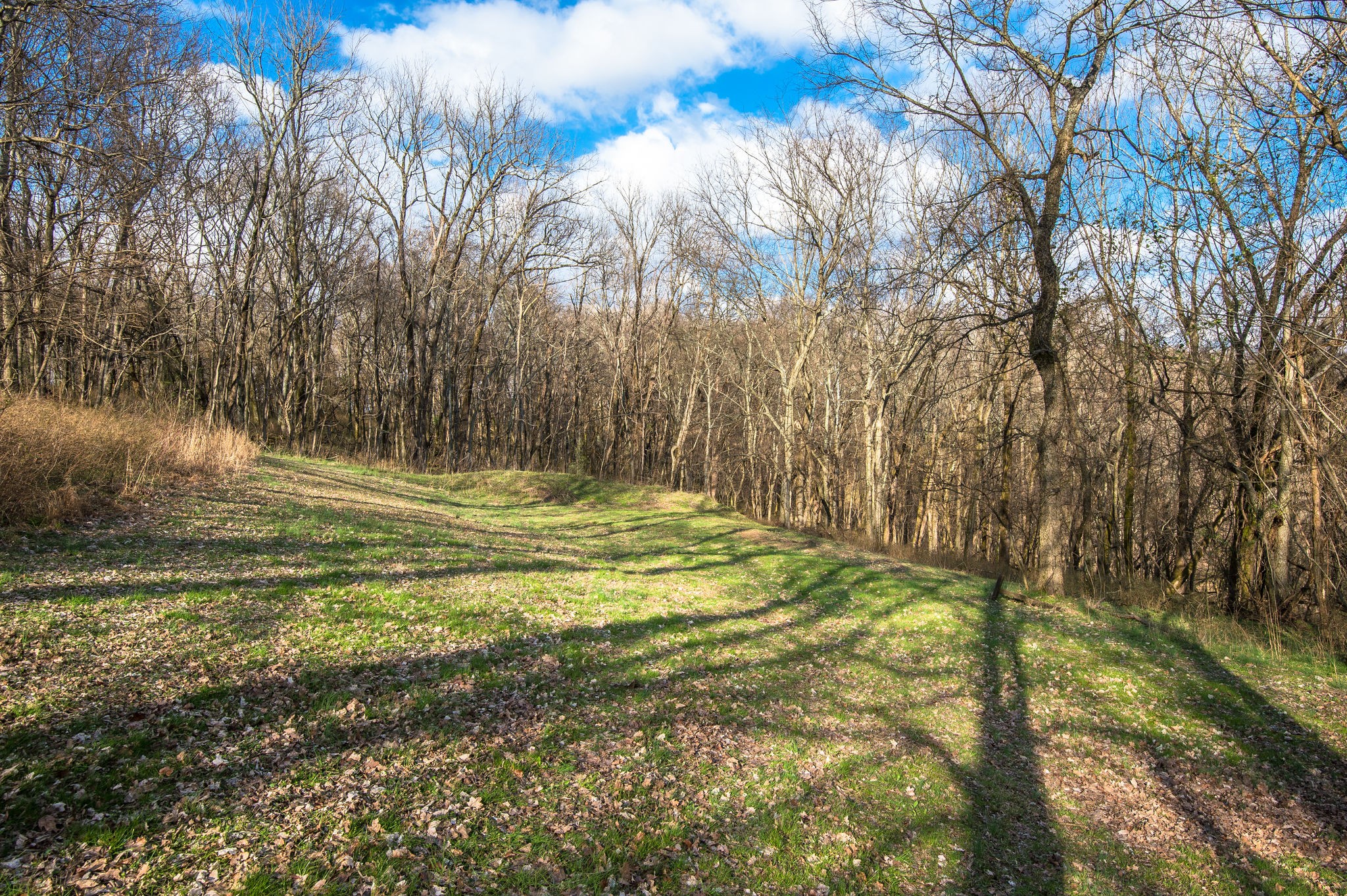 1111 Rip Steele Road Columbia, TN 38401 - Photo 50 of 50 a backyard of a house with lots of green space