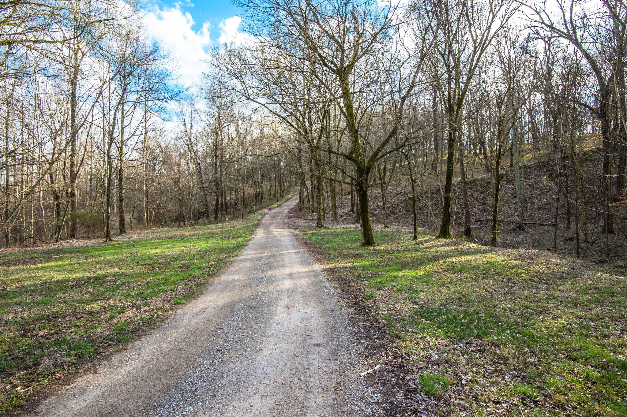 1111 Rip Steele Road Columbia, TN 38401 - Photo 5 of 50 a view of a park with large trees