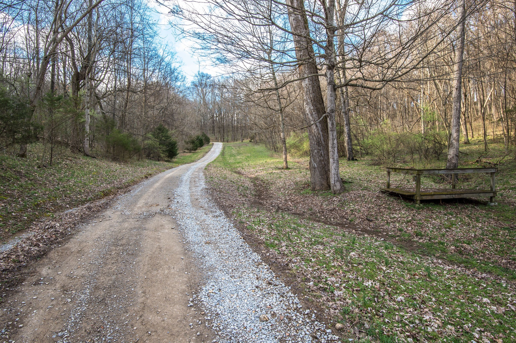1111 Rip Steele Road Columbia, TN 38401 - Photo 6 of 50 a view of a yard with large trees