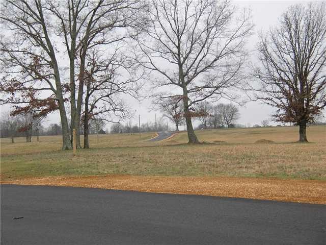 18 Windchase Cove Adamsville, TN 38310 - Photo 2 of 12