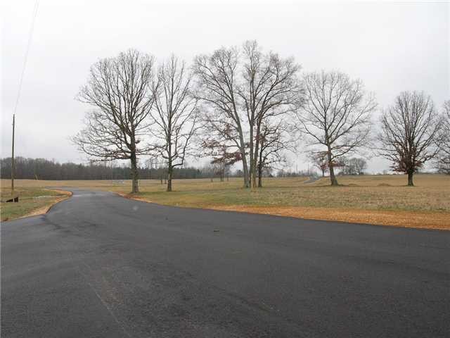 18 Windchase Cove Adamsville, TN 38310 - Photo 3 of 12