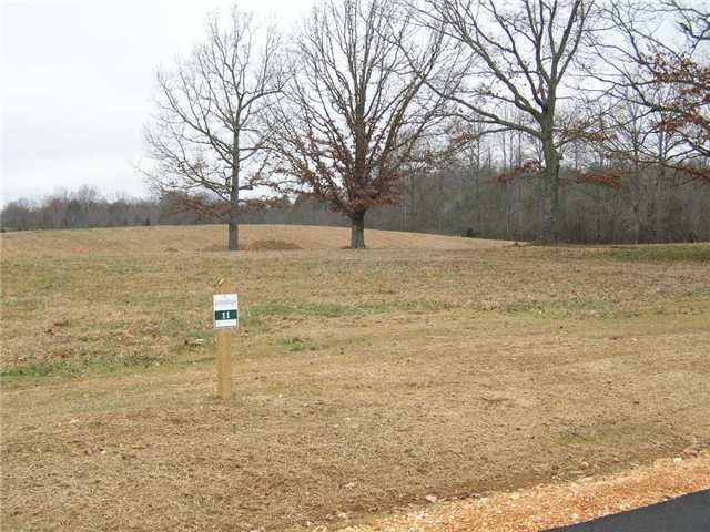 18 Windchase Cove Adamsville, TN 38310 - Photo 4 of 12