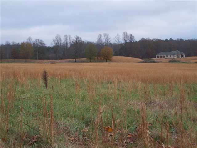 18 Windchase Cove Adamsville, TN 38310 - Photo 10 of 12
