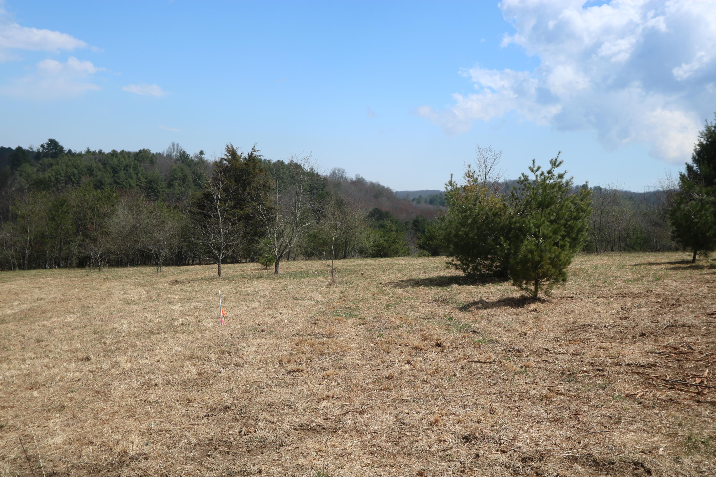 0 Firehouse Road Northwest Willis, VA 24380 - Photo 8 of 12 IMG_0187