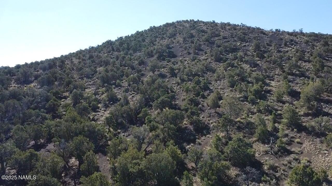 20202016 T No Name Road Williams, AZ 86046 - Photo 15 of 15 dji_fly_20250816_090924_0_1755360564024_